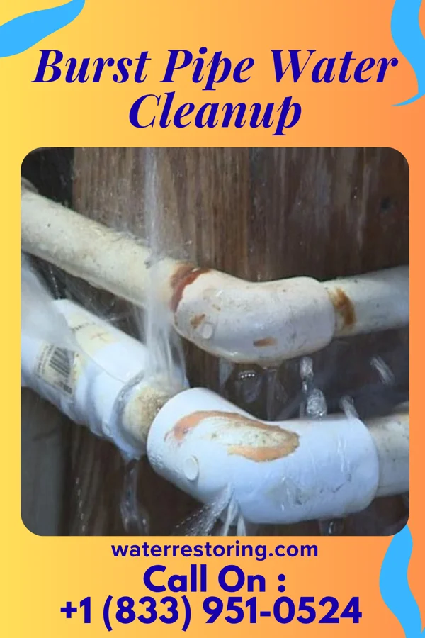 Burst Pipe Water Cleanup in Maple Bluff, WI