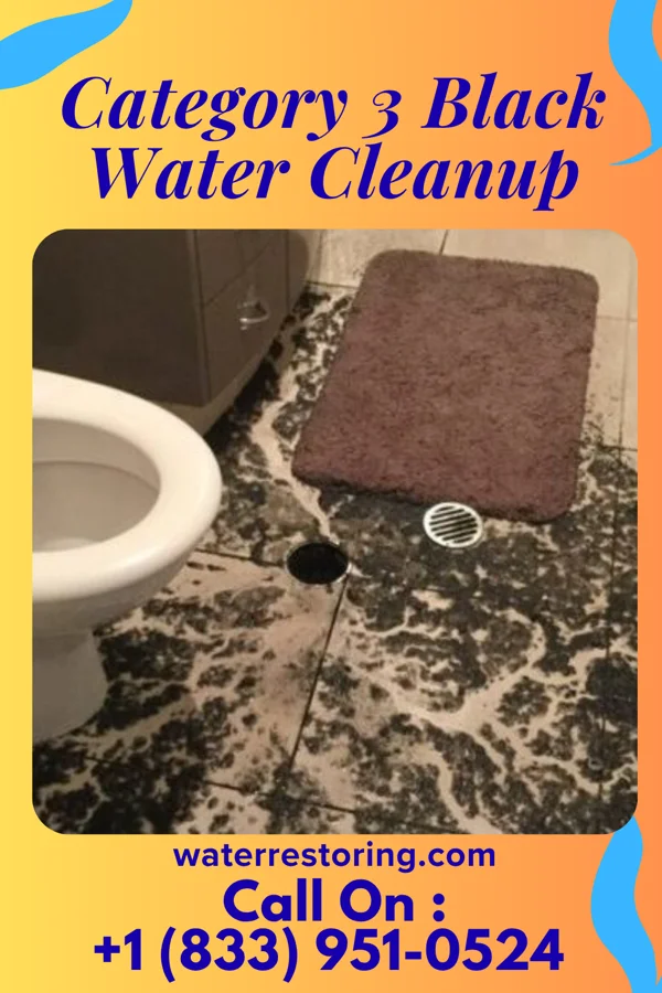 Category 3 Black Water Cleanup in Maple Bluff, WI