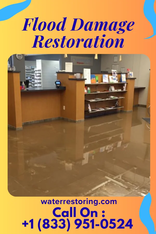 Flood Damage Restoration in Maple Bluff, WI