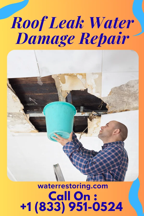 Roof Leak Water Damage Repair in Maple Bluff, WI