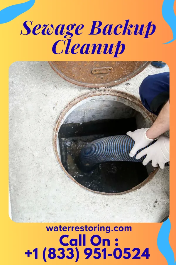 Sewage Backup Cleanup in Maple Bluff, WI