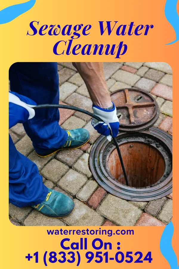 Sewage Water Cleanup in Maple Bluff, WI